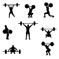 Drawing of people lifting barbells doing various exercises